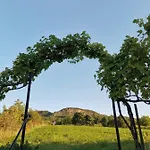 펜션 Bencze Pincze Badacsony Hill