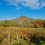 Bencze Pincze Badacsony Hill Дом отдыха