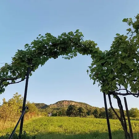 Vakantiehuis Bencze Pincze Badacsony Hill