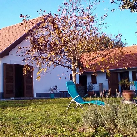 Hébergement de vacances Bencze Pincze Badacsony Hill Nemesgulács