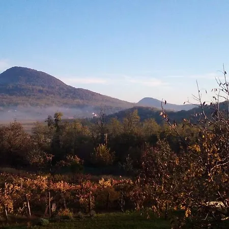 Vakantiehuis Bencze Pincze Badacsony Hill