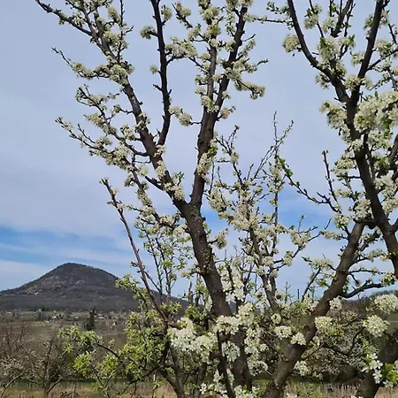 Bencze Pincze Badacsony Hill Vakantiehuis