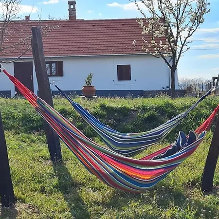 Vakantiehuis Bencze Pincze Badacsony Hill