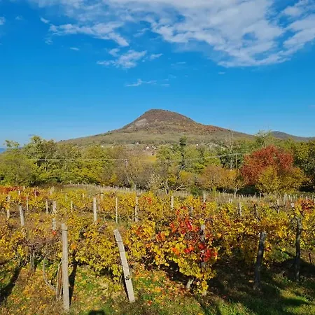 Bencze Pincze Badacsony Hill Vakantiehuis