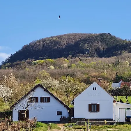 Bencze Pincze Badacsony Hill *