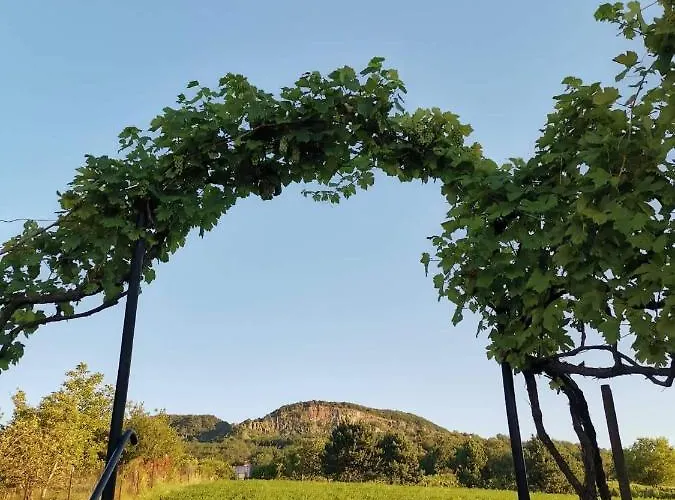 Semesterbostad Bencze Pincze Badacsony Hill