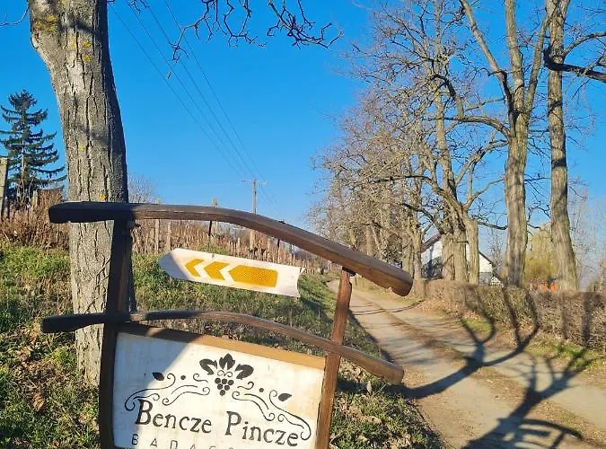 Bencze Pincze Badacsony Hill בית נופש *