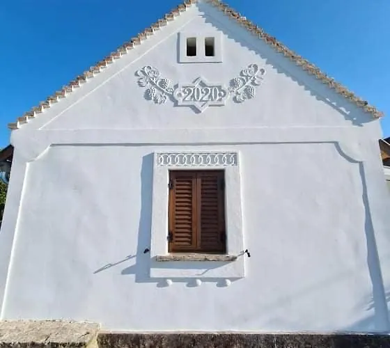 Bencze Pincze Badacsony Hill