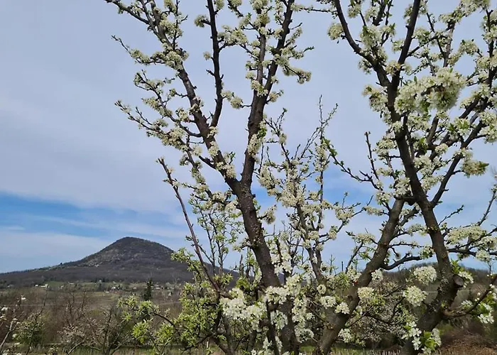Bencze Pincze Badacsony Hill בית נופש