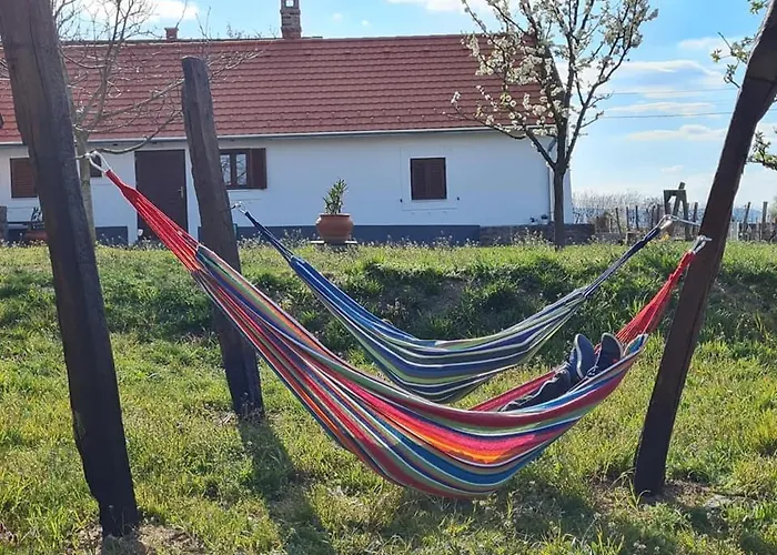 Vakantiehuis Bencze Pincze Badacsony Hill