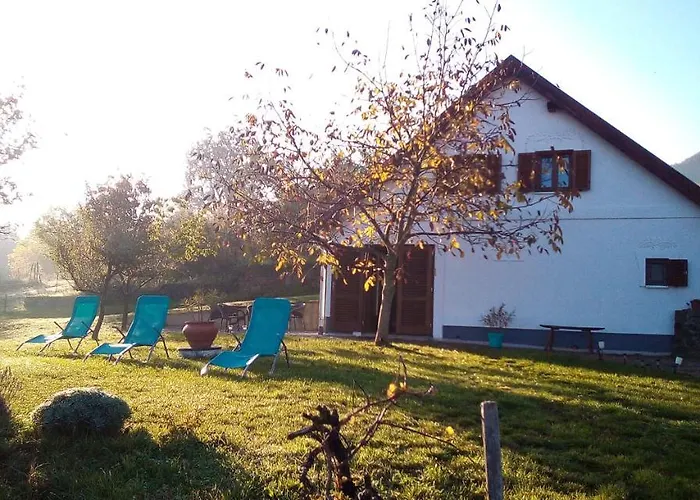 Bencze Pincze Badacsony Hill