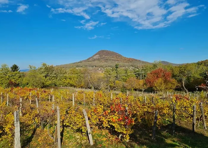 Bencze Pincze Badacsony Hill בית נופש